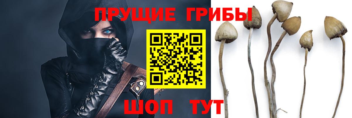 наркошоп  Псилоцибиновые грибы мухоморы  Кушва  Вход с VPN  Галлюциногенные грибы ЛСД 